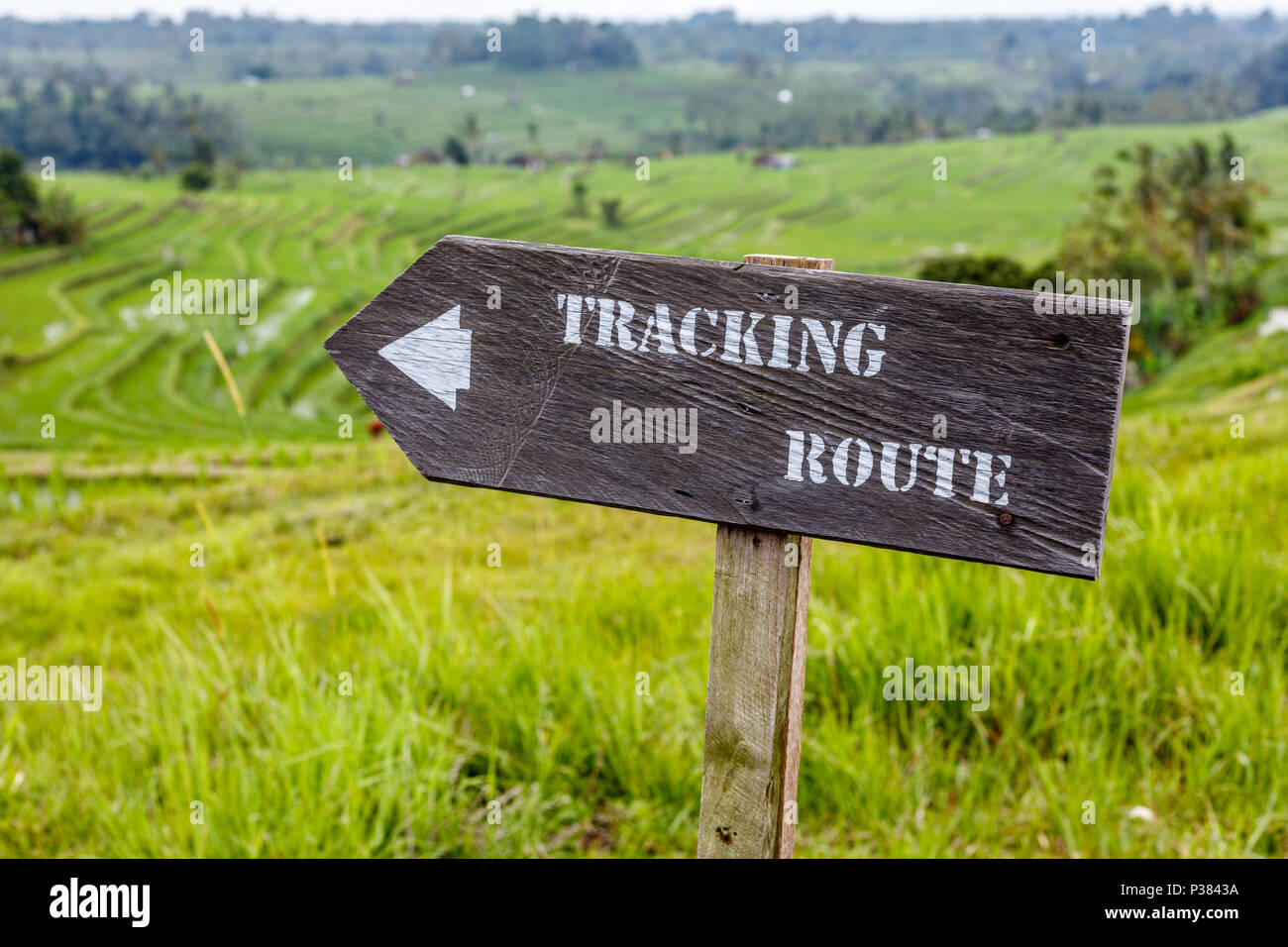 Directional Arrows Photos Directional Arrows Images Alamy