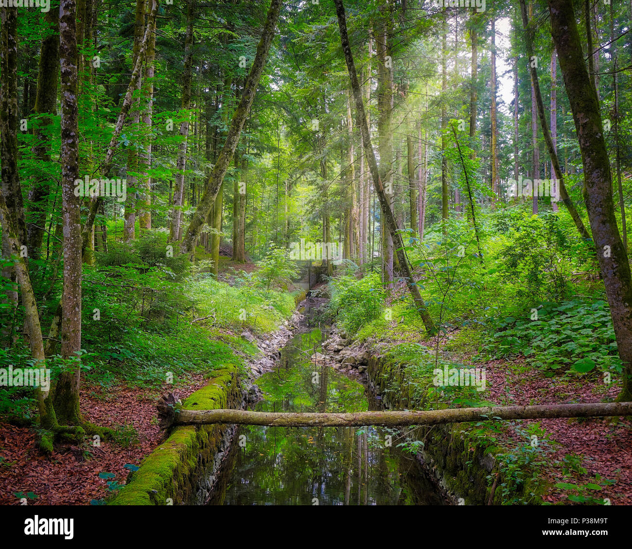 DE - BAVARIA : Woodlands Kalvarienberg à Lenggries (image HDR) Banque D'Images
