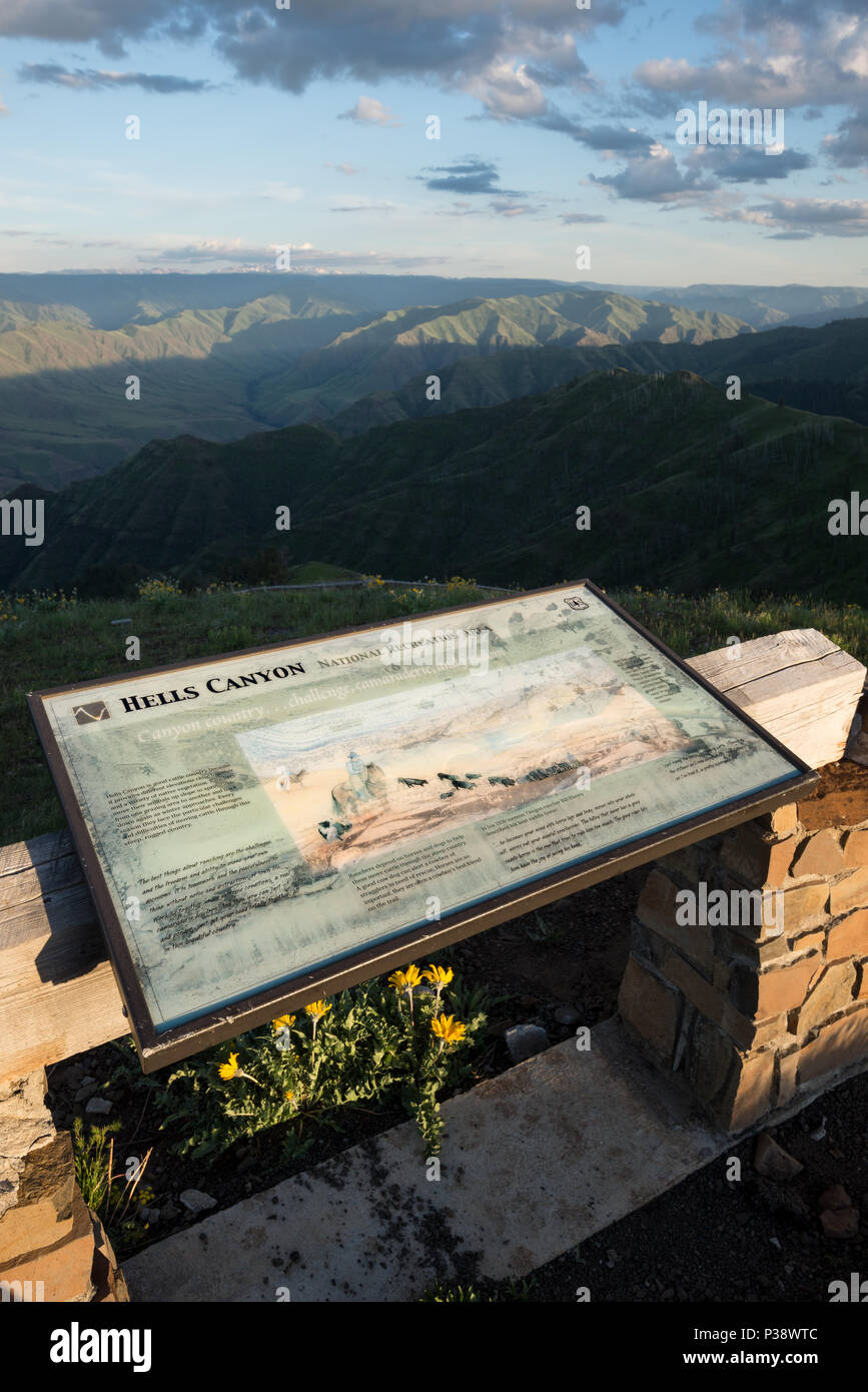 Panneau d'interprétation au bord de Hells Canyon, de l'Oregon. Banque D'Images