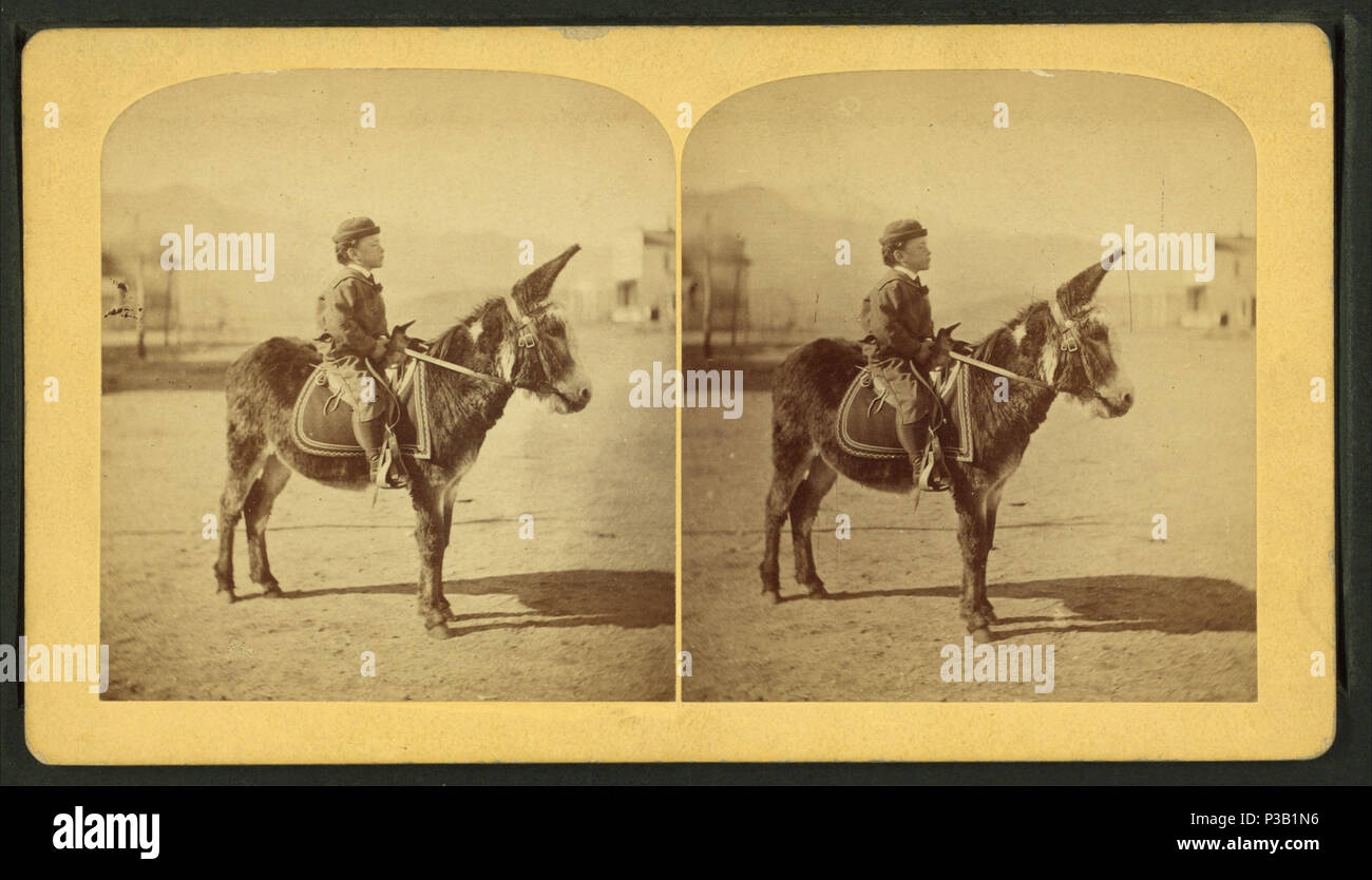 Selle mexicaine à l’échelle demi - Equestrian Antique