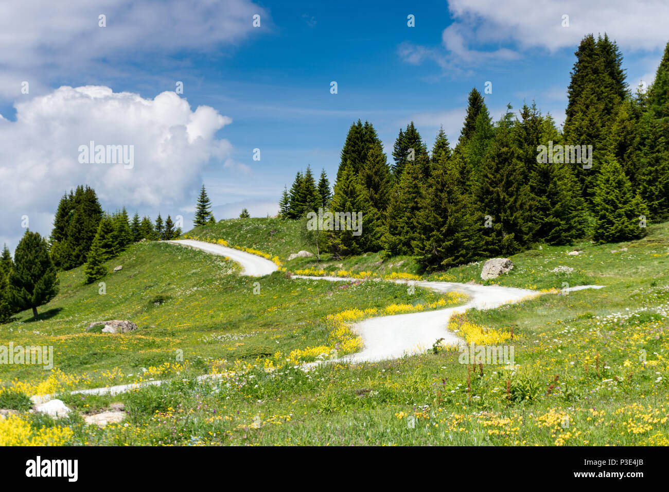 Paysage de montagne idyllique en été avec une route de gravier Banque D'Images