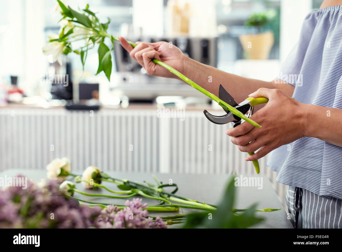 Gros plan d'une belle fleur Banque D'Images