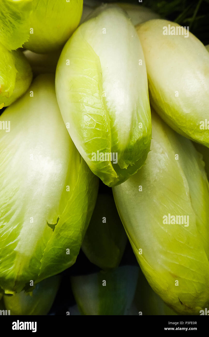 Endives à la vente du marché agricole Banque D'Images