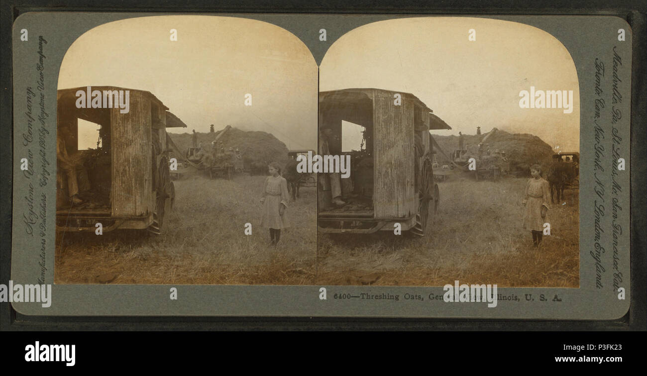 . L'avoine de battage, vue générale, l'Illinois, Etats-Unis, Couverture : 1870 ?-1895 ?. Mentions légales Source : 1870 ?-1895 ?. Point numérique publié 6-2-2005 ; mis à jour le 2-12-2009. L'avoine, du batteur 328 Vue générale, l'Illinois, Etats-Unis, par Keystone View Company Banque D'Images