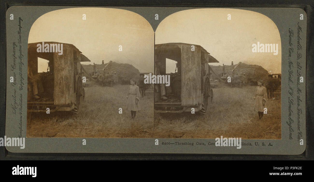 L'avoine, du batteur 328 Vue générale, l'Illinois, Etats-Unis, par Keystone View Company Banque D'Images