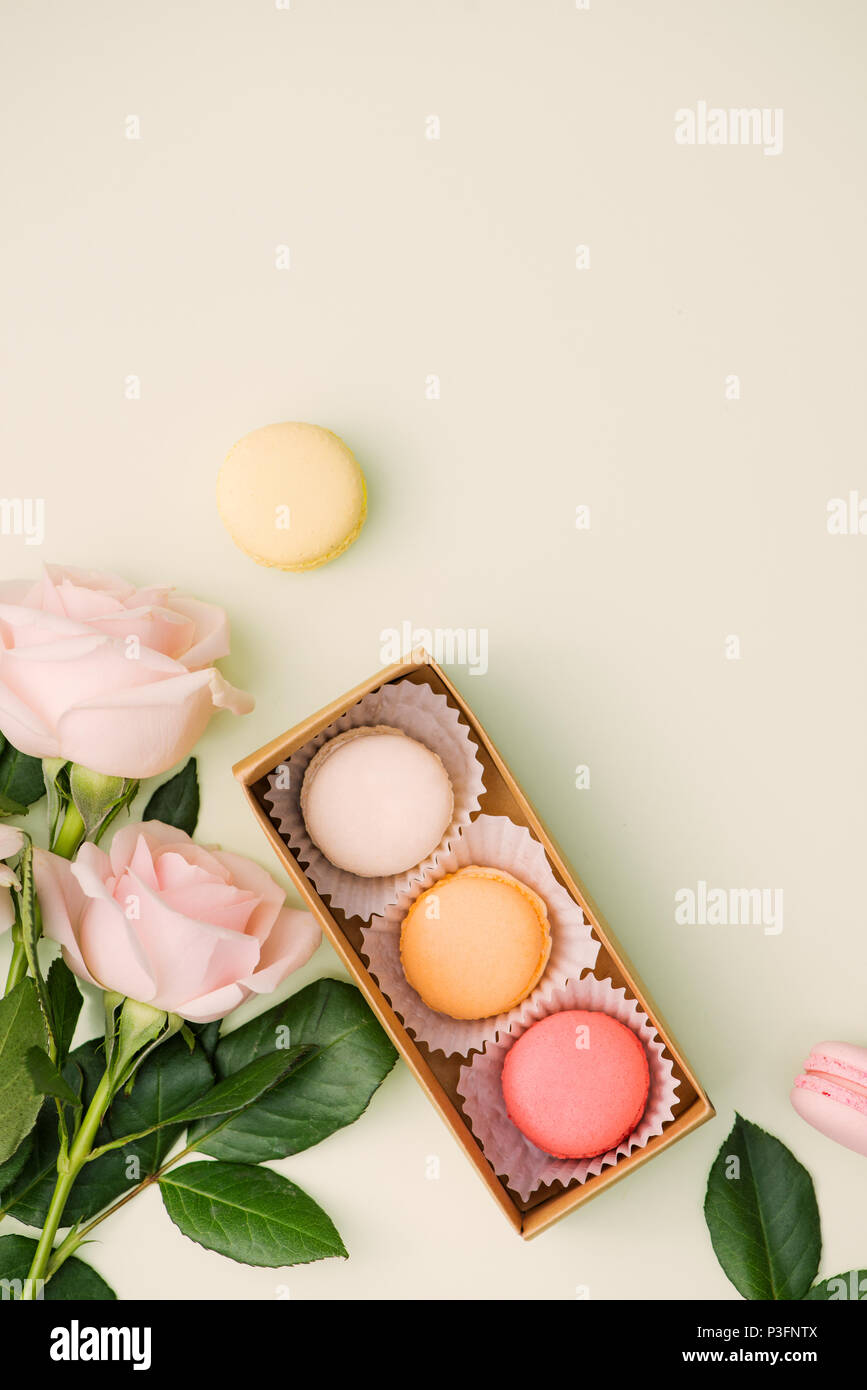 Macarons colorés et des fleurs rose sur vert clair. Macarons sucrés en boîte cadeau. Vue d'en haut Banque D'Images