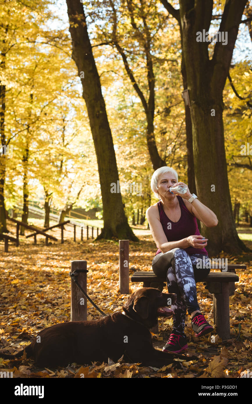 Happy woman l'eau potable dans un parc avec son chien Banque D'Images