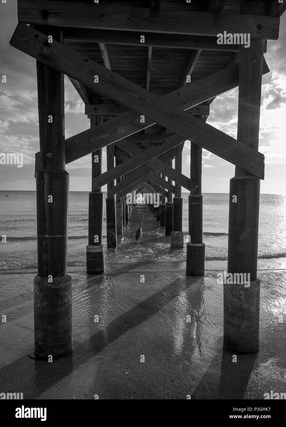 Redington Beach. Floride, USA, jeudi, 12/10/2017, point de vue. Coucher de soleil, Plage, 'La Contessa Pier', 'embarcadère en bois prend en charge', Noir & Blanc, © Peter SPURRIER Banque D'Images