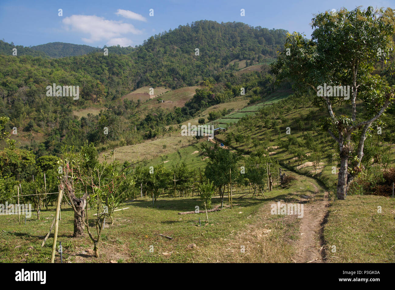 Paysage rural du nord de la province de Mae Hong Son, Thaïlande Banque D'Images