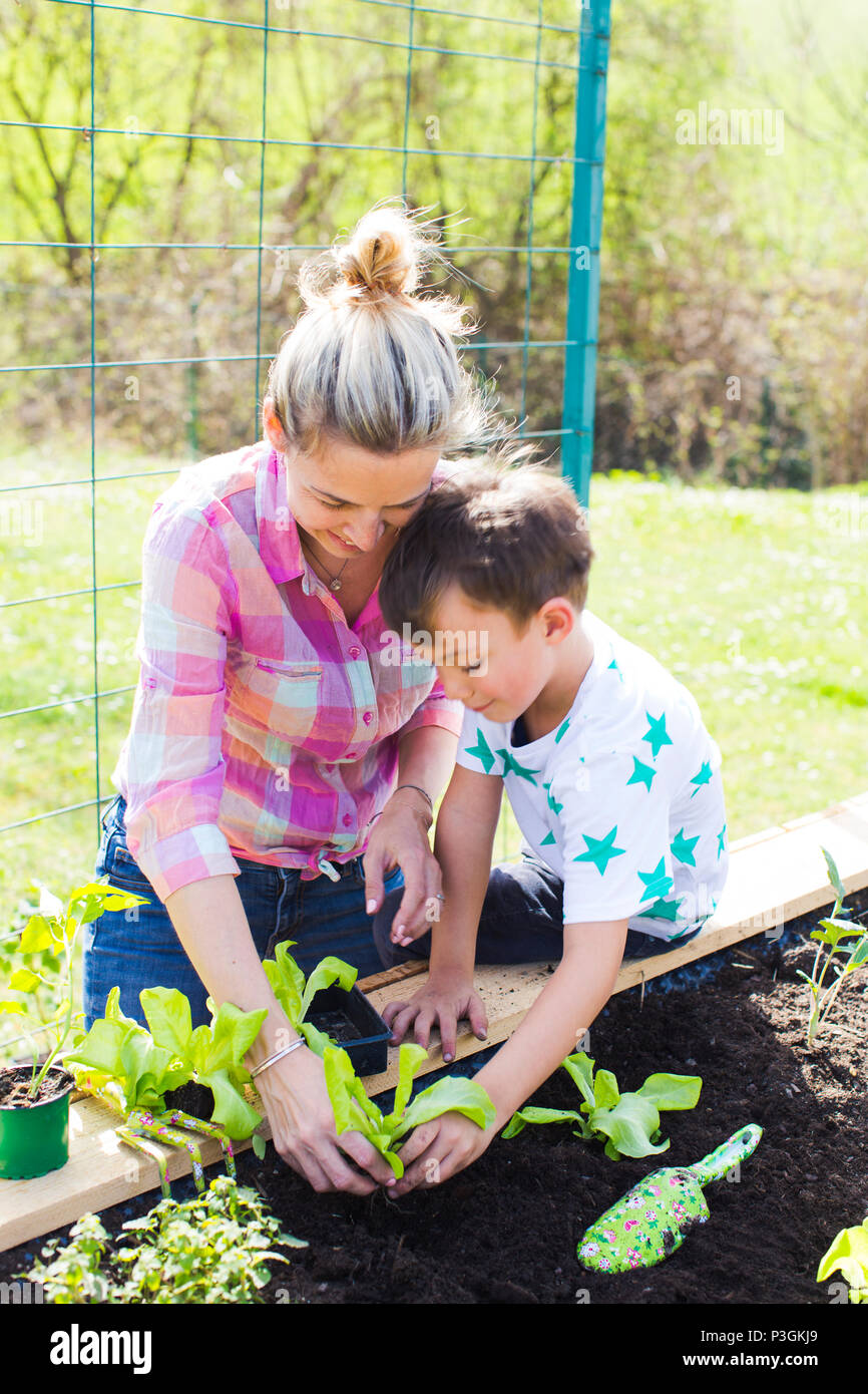 Belle mère et de son fils blonde salade de plantation en double dans son jardin Banque D'Images