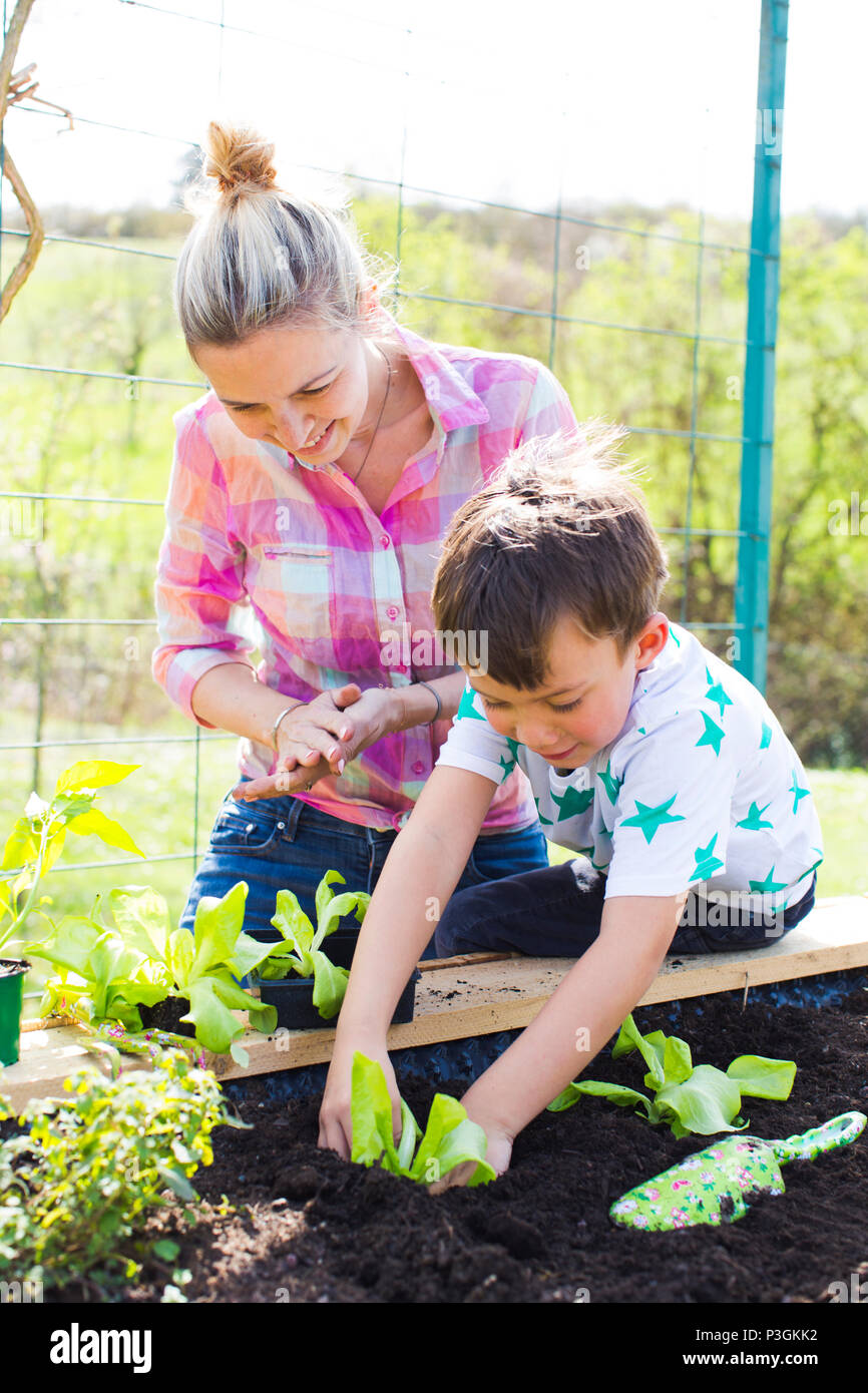 Belle mère et de son fils blonde salade de plantation en double dans son jardin Banque D'Images