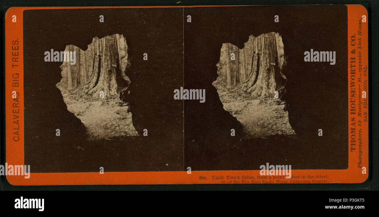 . De l'Oncle Tom, d'un point situé à 40 pieds à l'intérieur du Grand Arbre Eagle Wing, comté de. Titre alternatif : Comté de grands arbres, 894. Création : ca. 1864 ?-1874 ?. Couverture : ca. 1864 ?-1874 ?. Point numérique publié le 8-31-2005 ; mise à jour 2-12-2009. 336 de l'Oncle Tom, d'un point situé à 40 pieds à l'intérieur du Grand Arbre Eagle Wing, comté de, par Lawrence &AMP ; Houseworth 2 Banque D'Images