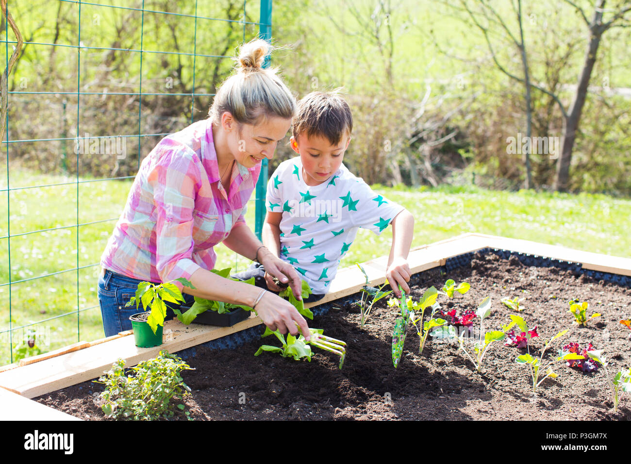 Belle mère et de son fils blonde salade de plantation en double dans son jardin Banque D'Images