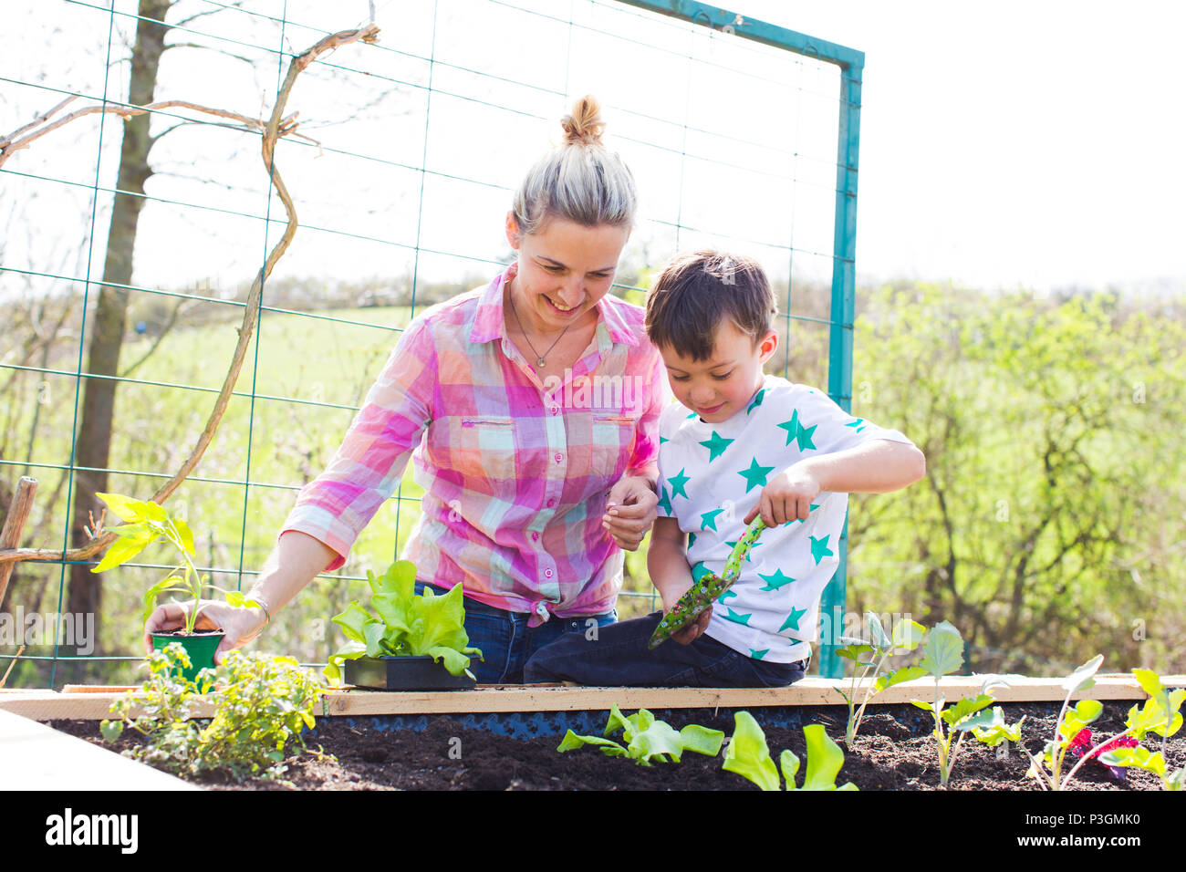 Belle mère et de son fils blonde salade de plantation en double dans son jardin Banque D'Images