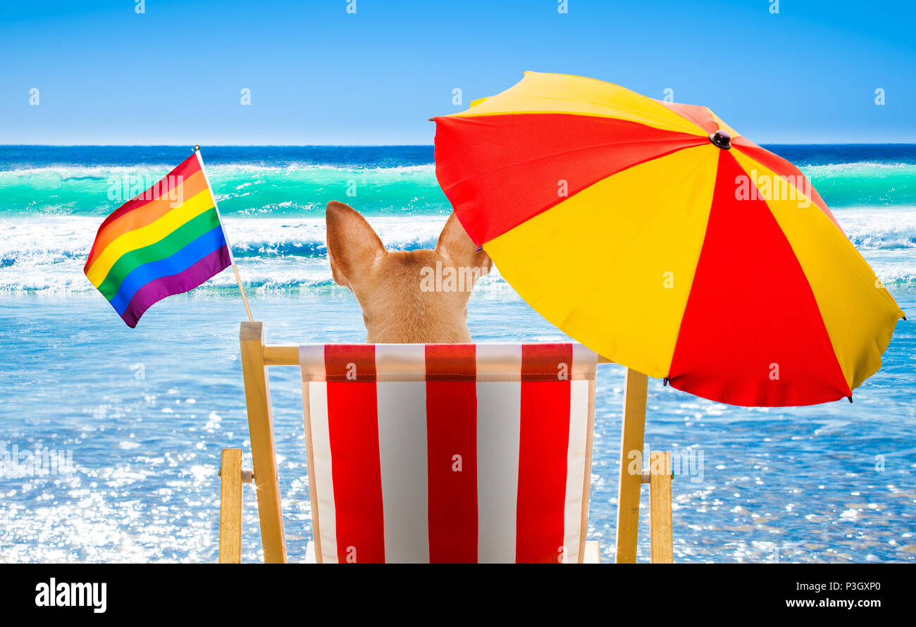 Gay-chien et vous reposer sur un hamac ou chaise de plage sous parapluie à la beach ocean shore, les vacances d'été vacances Banque D'Images