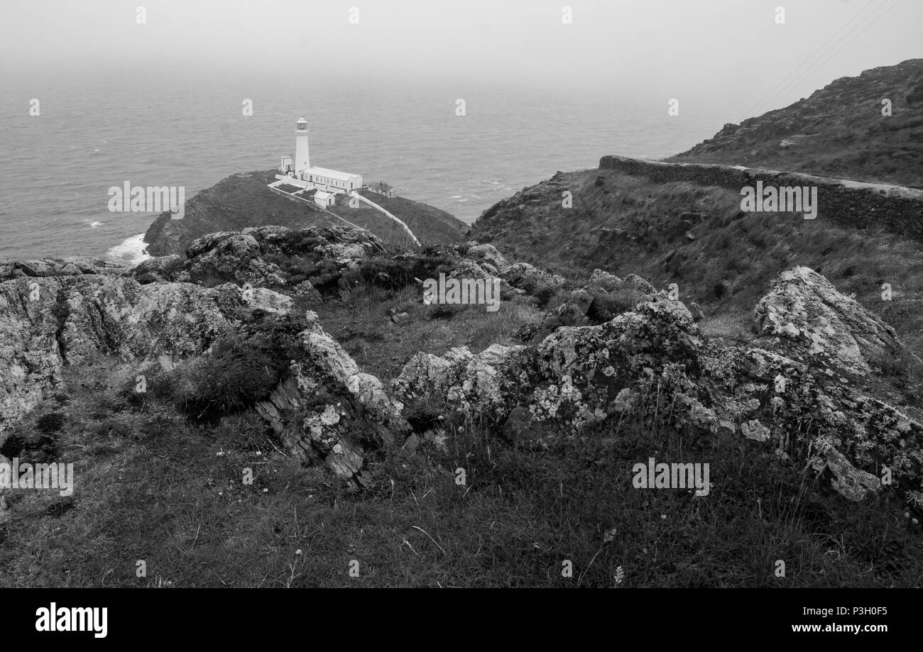 L'historique phare de South Stack est situé sur une petite île accessible par une descente de 400 marches à descendre les pentes abruptes falaises continentale. Pile du Sud Rock l Banque D'Images