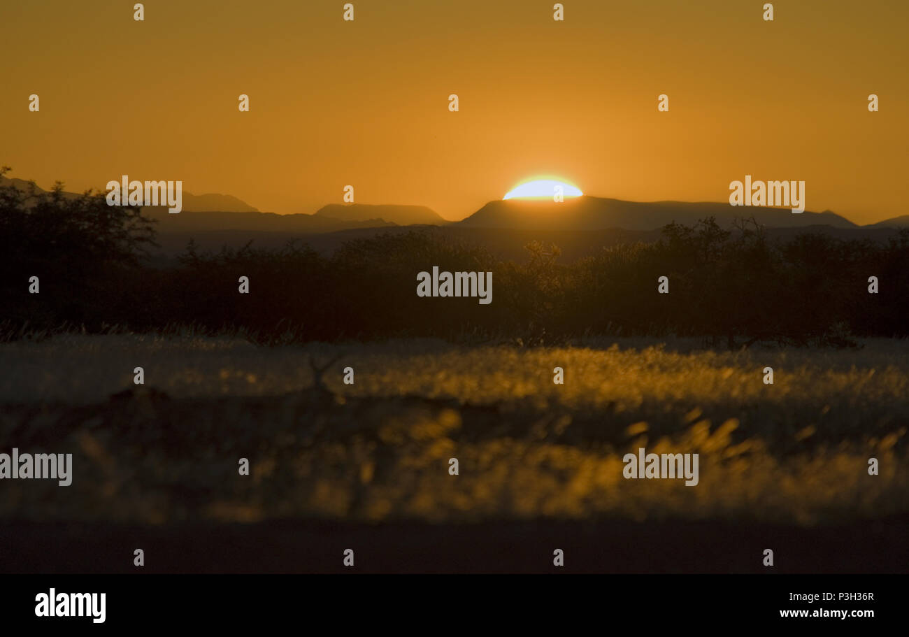 Coucher de soleil africain. Crépuscule en Namibie Banque D'Images