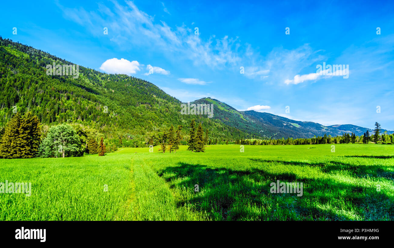 Les champs agricoles, les prairies et les montagnes le long de la route du ruisseau Heffley-Louis à Barierre de Whitecroft dans les hautes terres de Shuswap, Colombie-Britannique, Canada Banque D'Images