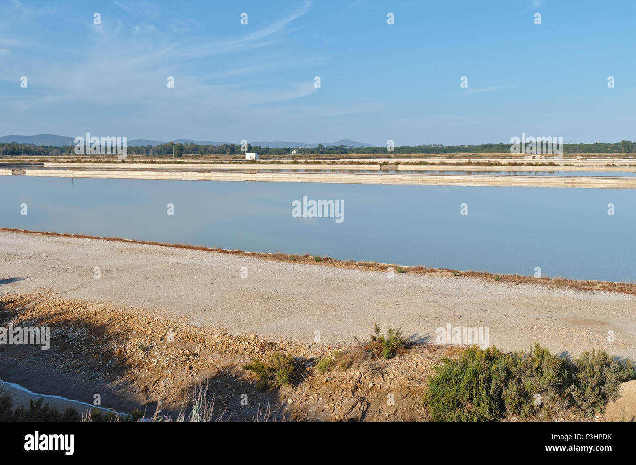 Sallt étang d'évaporation dans Ludo. Algarve, Portugal Banque D'Images