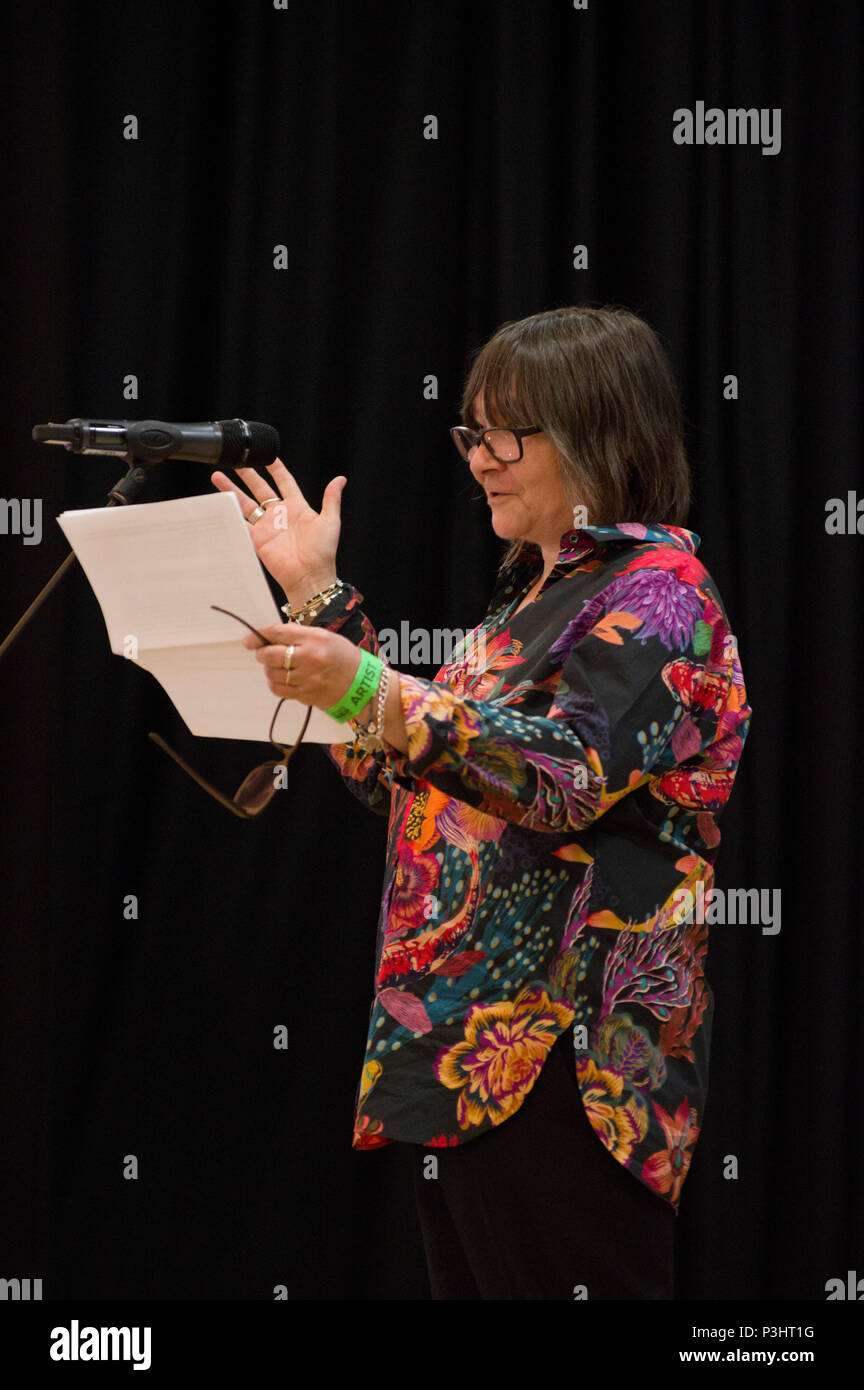 Auteur Ali Smith lecture à la 9e édition du Festival littéraire de Stoke Newington 2018 à Hackney, East London Banque D'Images