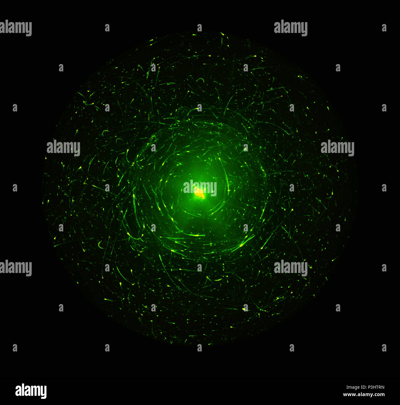 Les particules de haute énergie des orbitales ou autour d'un noyau. La mécanique quantique, l'antimatière, champ magnétique, singularité, ondes gravitationnelles et l'espace-temps Conc Banque D'Images