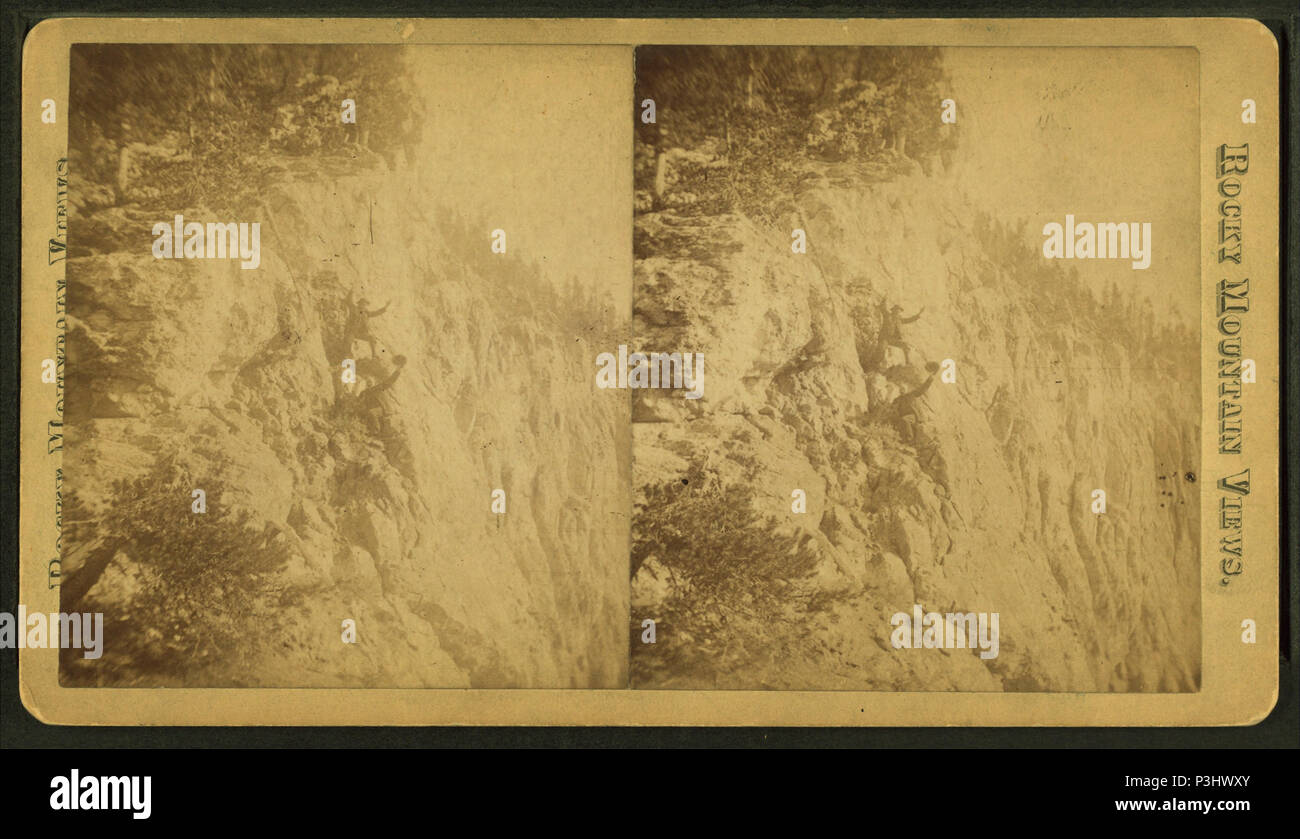 . Rive ouest de Yellowstone Lower Falls. Titre alternatif : vues sur les Rocheuses. Couverture : 1875 ?-1920 ?. Mentions légales Source : 1875 ?-1920 ?. Point numérique publié le 1-25-2006 ; mise à jour 6-4-2009. 378 rive ouest de Yellowstone Lower Falls, par J. F. Barker Banque D'Images