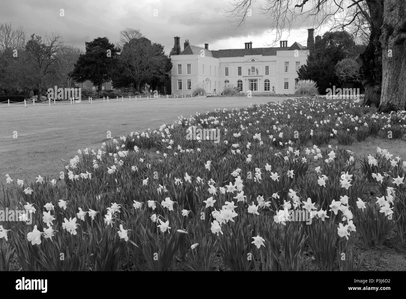 Vue de printemps Hintlesham Hall, Hintlesham village, Suffolk, Angleterre, RU Banque D'Images