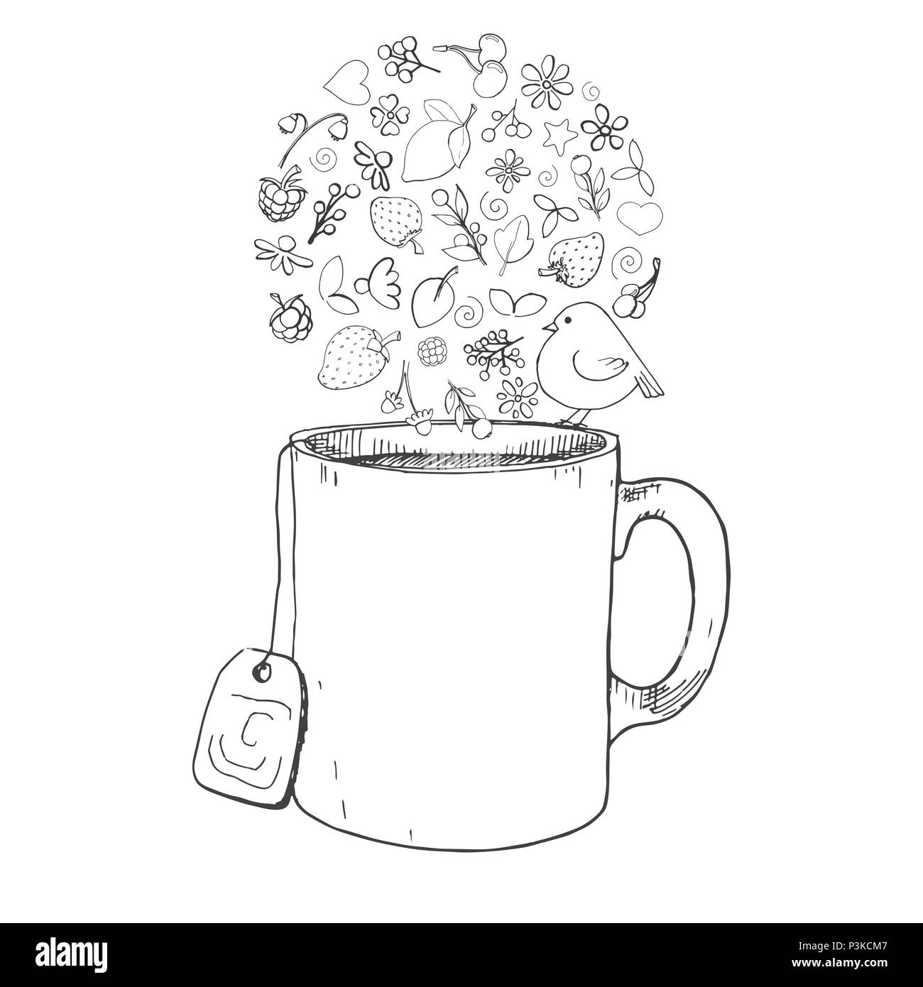 Une tasse à la main, différentes herbes, des plantes, des baies et des oiseaux. Vector illustration d'un croquis de style. Illustration de Vecteur