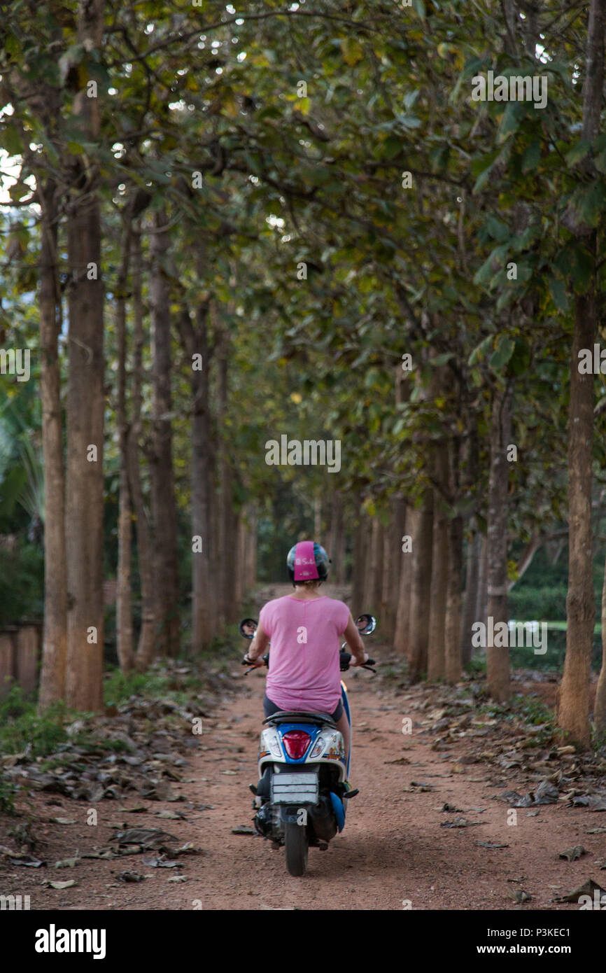 Woman riding scooter sur route forestière, PAI, Mae Hong Son, Thaïlande bientôt Banque D'Images
