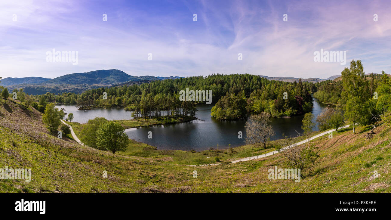 Tarn Hows, le Parc National du Lake District, le Royaume-Uni Banque D'Images