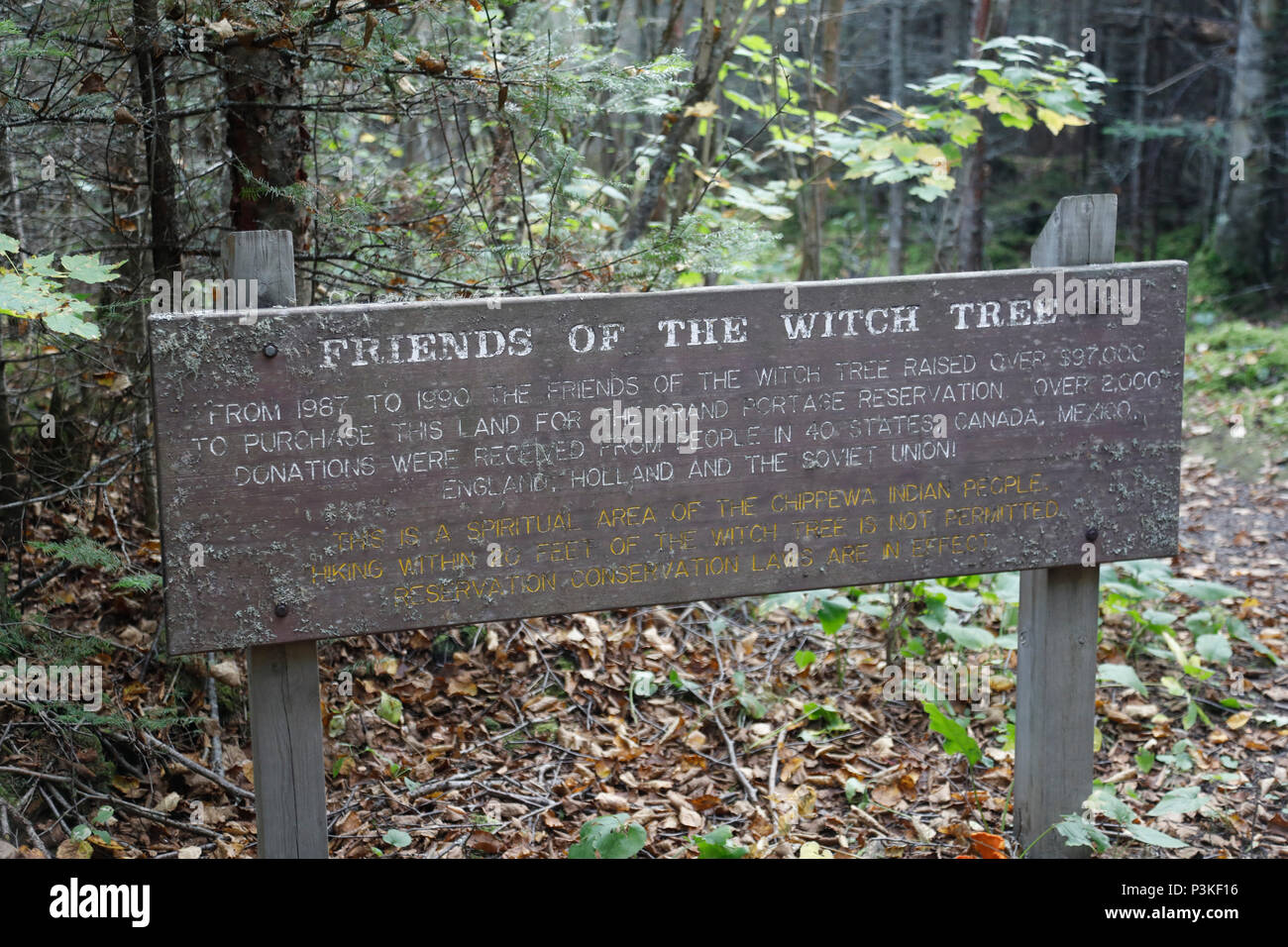 Les amis de sorcière, signe de l'arbre Grand Portage, Minnesota, USA Banque D'Images