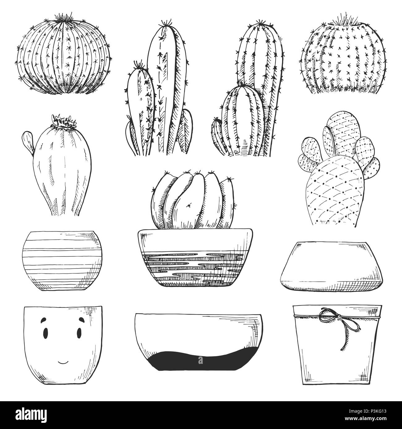 Croquis de différents pots et plantes succulentes. Vector illustration d'un croquis de style. Illustration de Vecteur