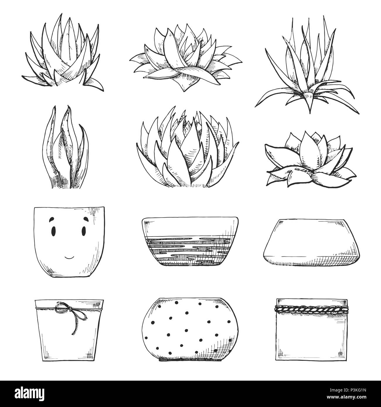 Croquis de différents pots et plantes succulentes. Vector illustration d'un croquis de style. Illustration de Vecteur