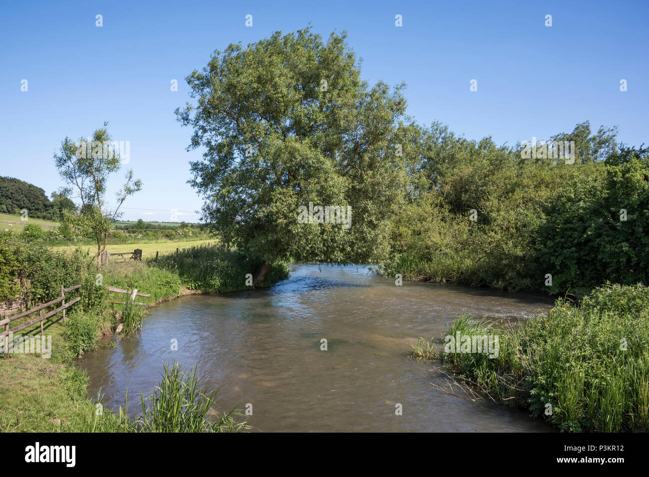 La rivière Windrush à Swinbrook, Oxfordshire Banque D'Images