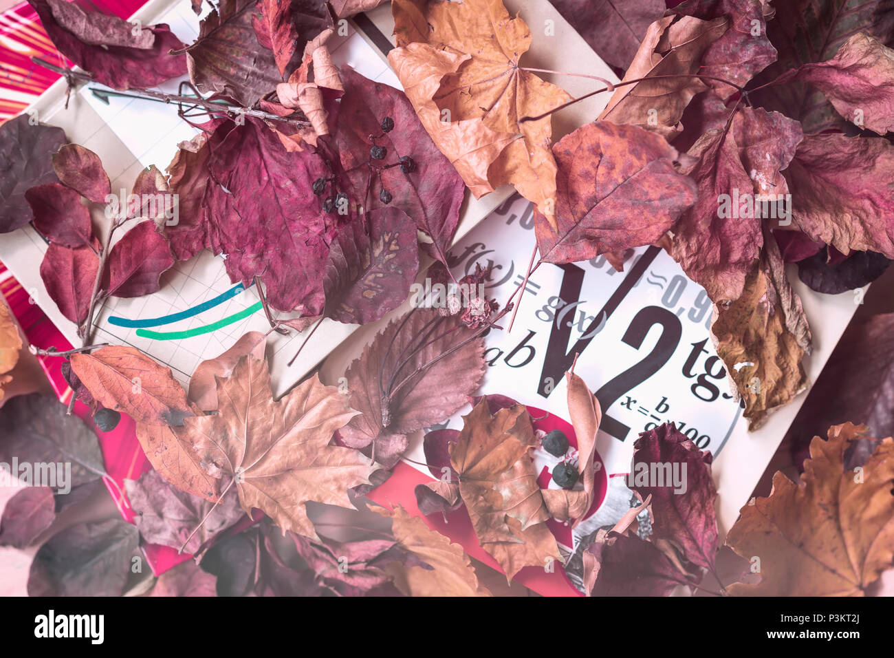 Les manuels scolaires, livres, sur table avec des formules mathématiques en rouge les feuilles d'automne. Vue d'en haut. Concept de de commencer l'école, le retour à l'école, de l'éducation Banque D'Images