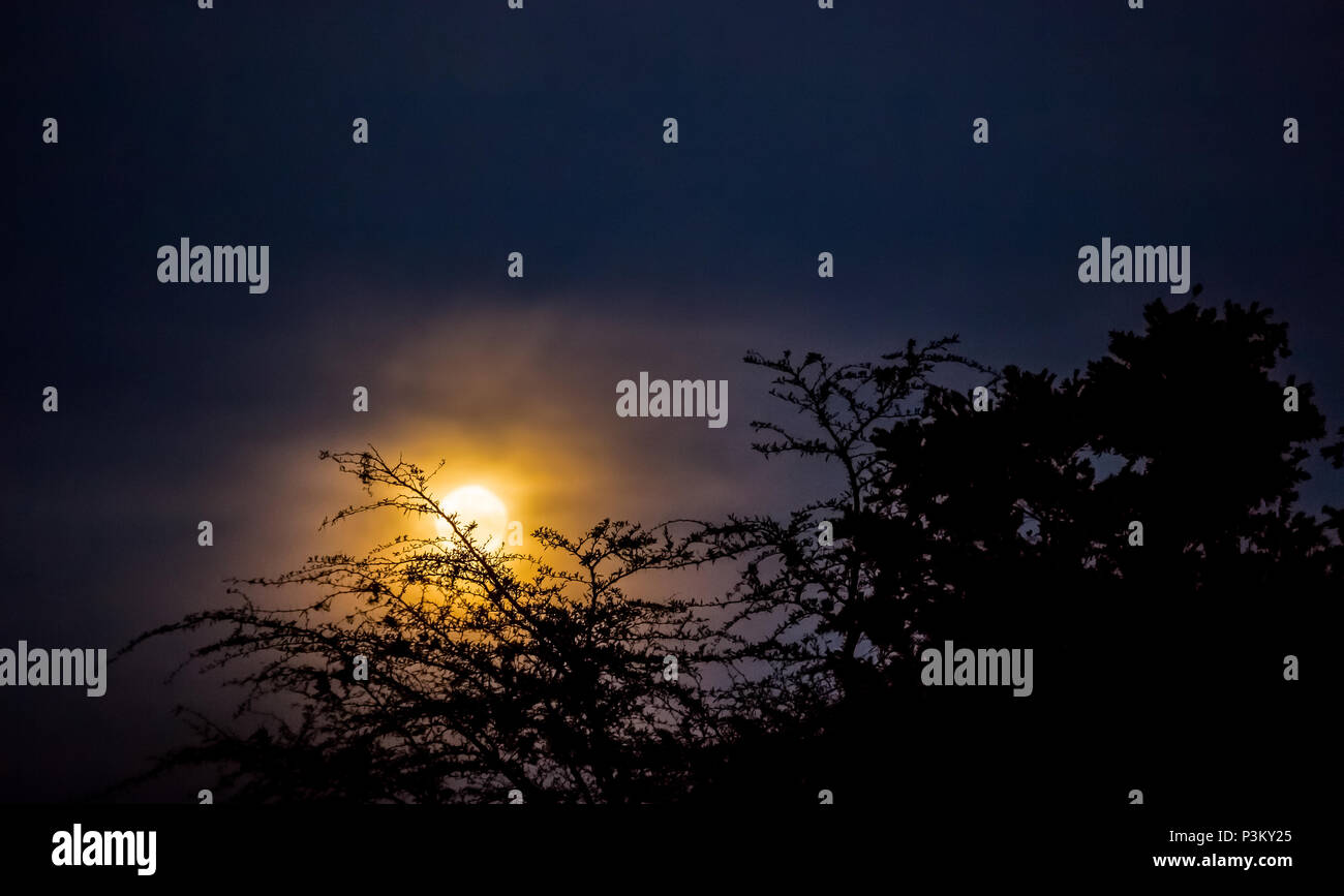 Full Moon Rising Banque D'Images