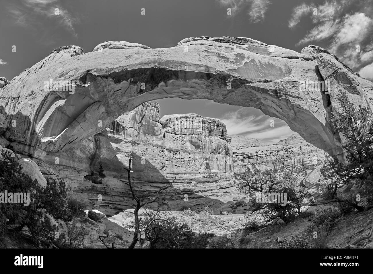 Photo noir et blanc de l'Hickman Bridge dans Capitol Reef National Park, Utah, USA. Banque D'Images