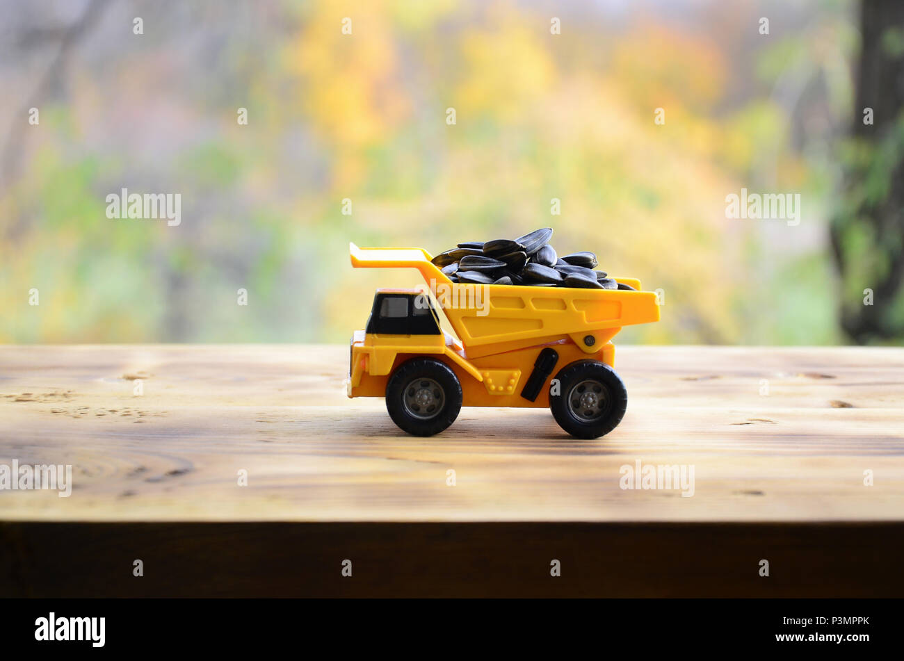 Un petit jouet jaune camion est chargé avec des graines de tournesol. Une voiture sur une surface en bois sur un fond de forêt d'automne. Extraction et transportatio Banque D'Images