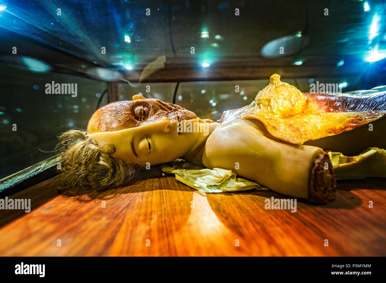 Italie Sardaigne Cagliari Collection de cires anatomiques par Clemente Susini Banque D'Images