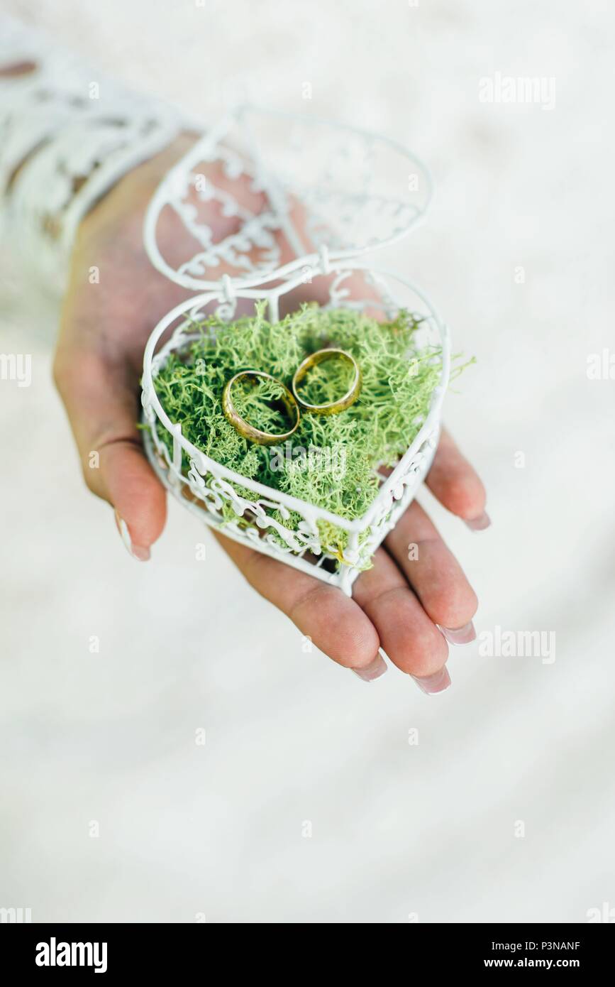 Jour de mariage. Les anneaux de mariage dans une boîte remplie de mousse sur l'herbe verte Banque D'Images