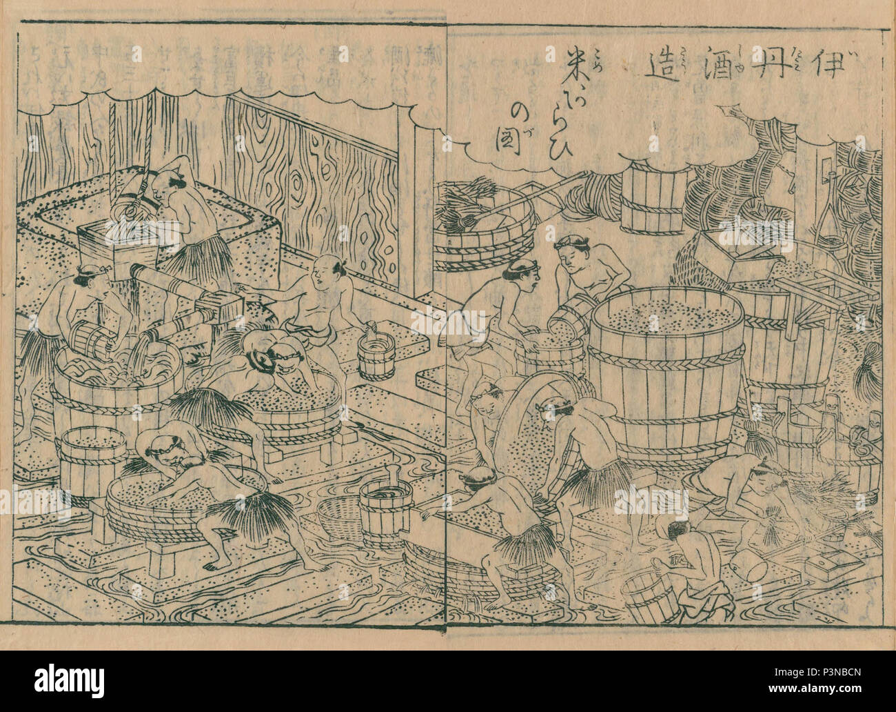 Scène de production de saké à Itami, de Nihon sankai meisan zue, publié en 1797, artiste Mitsunobu Hasegawa Banque D'Images