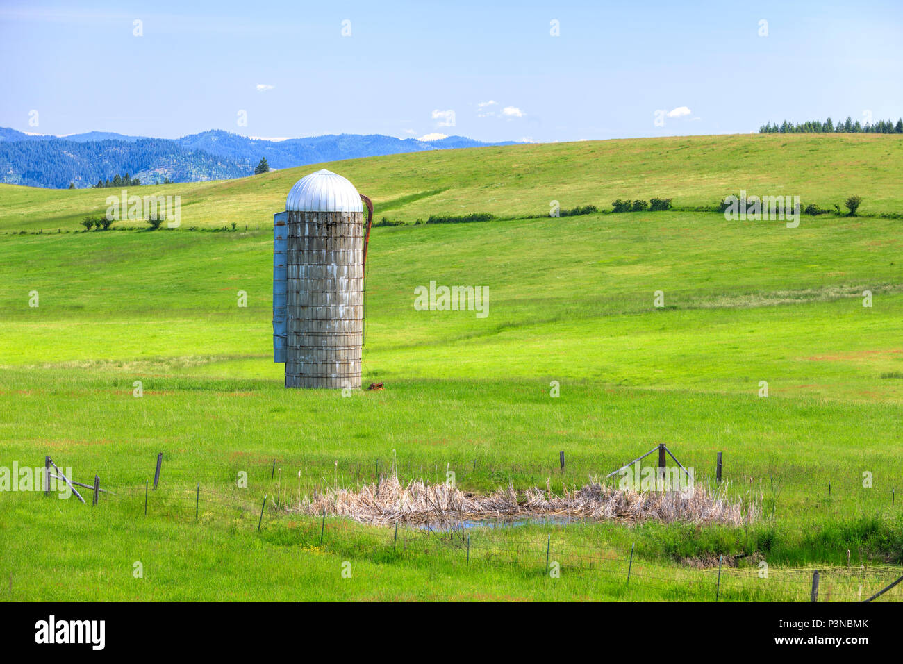 Un silo à grains se dresse dans un pré vert près de Harrison, New York. Banque D'Images