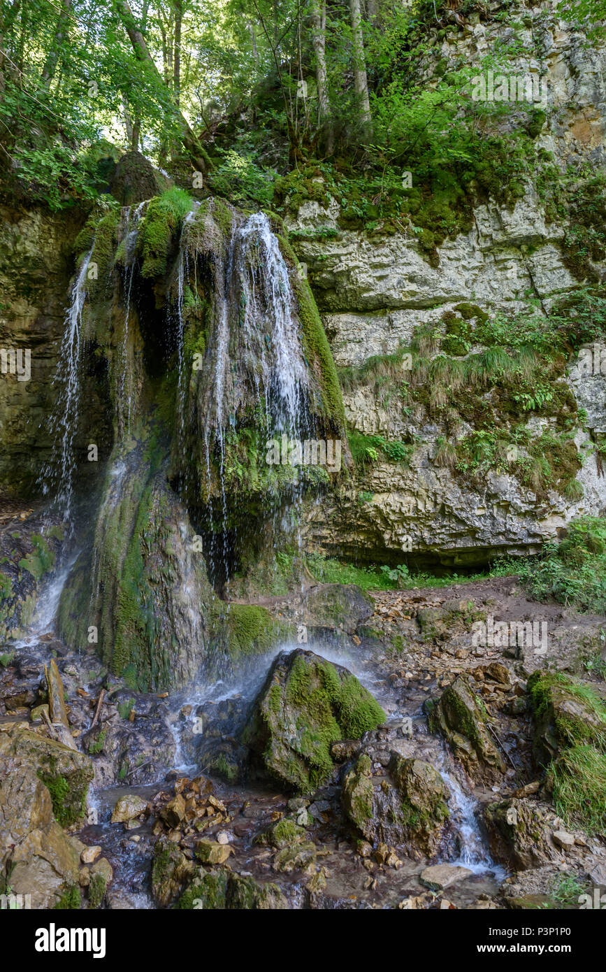 Gorges de Wutach avec rivière et cascades - Marche dans le paysage magnifique de la Forêt-Noire, Allemagne Banque D'Images