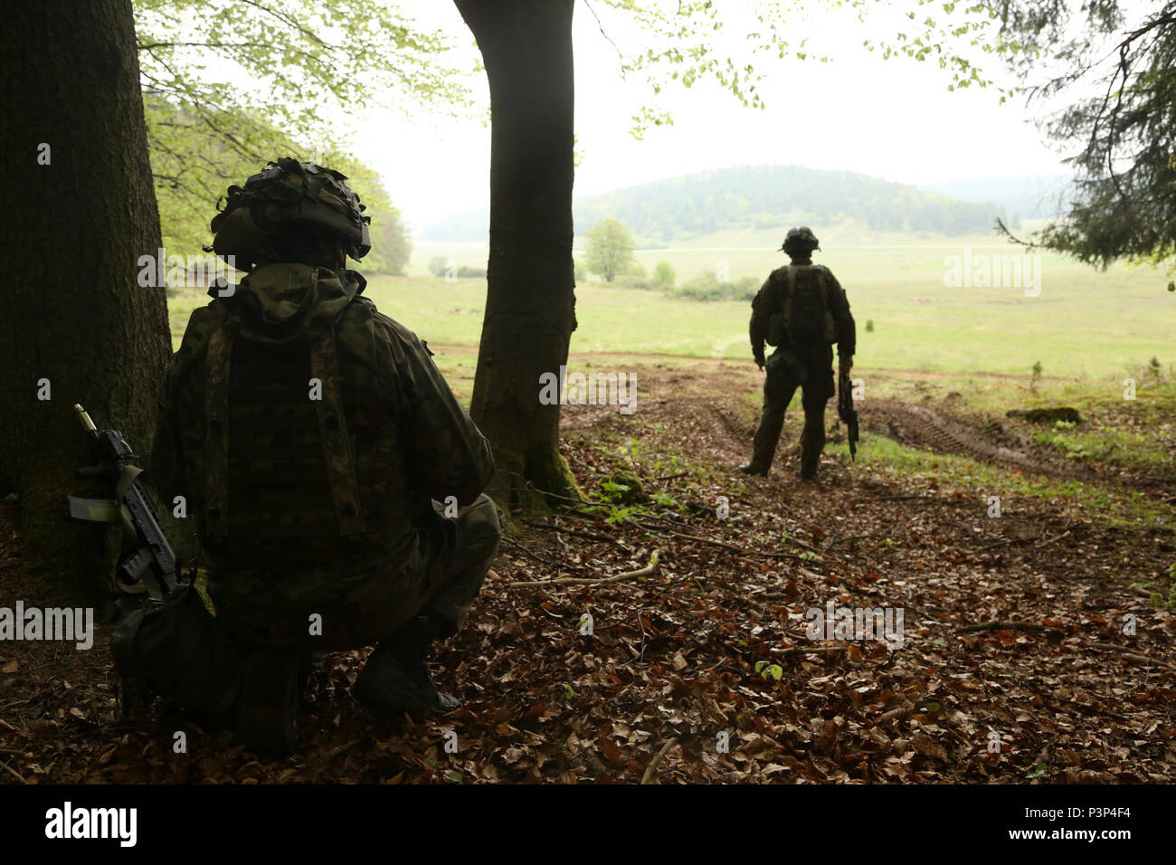 Des soldats polonais du 1er Bataillon d'infanterie montée, 17e Brigade mécanisée observer leur secteur d'incendie tout en menant une simulation d'agression contre les forces d'opposition au cours de la sortie 17 Sabre au Hohenfels Domaine de formation, l'Allemagne, le 8 mai 2017. Sortie 17 Sabre est l'armée américaine Europe's Cavalry Regiment 2d centre de formation de combat de l'exercice de certification, qui aura lieu au Centre de préparation interarmées multinationale à Hohenfels, Allemagne, Avril 25-Mai 19, 2017. L'exercice a pour but d'évaluer l'état de préparation du régiment pour mener des opérations terrestres unifiée, avec un accent particulier sur re Banque D'Images