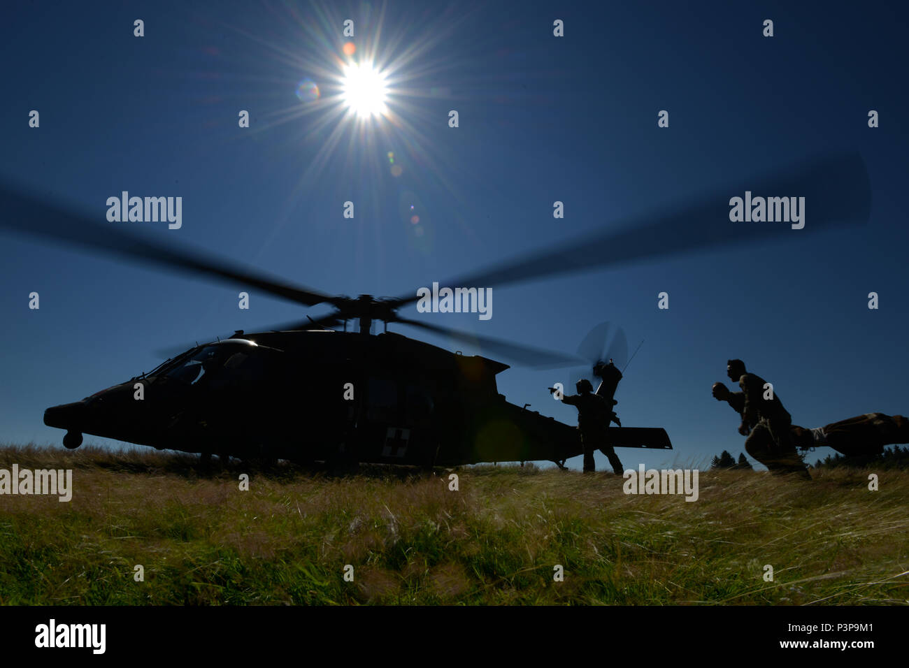 Les soldats des différentes nations participent à l'IARD Avancé Cours de formation médicale de soins de soutien, qui a été accueilli par le Centre international de formation spéciale, le 20 juillet 2016, Pfullendorf, Allemagne. La force multinationale d'étudiants reçoivent la formation pour améliorer ses compétences médicales pour soutenir l'OTAN Soldats, marins et aviateurs et marins. (U.S. Photo de l'armée par Visual Spécialiste de l'information, Jason Johnston/libérés) Banque D'Images