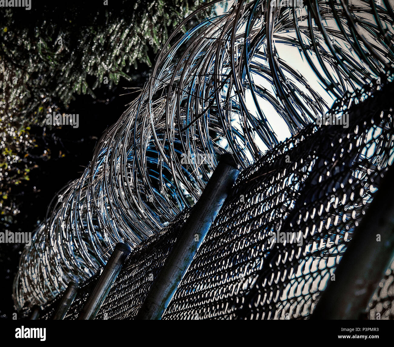 Clôture de barbelés de la prison : Banque D'Images