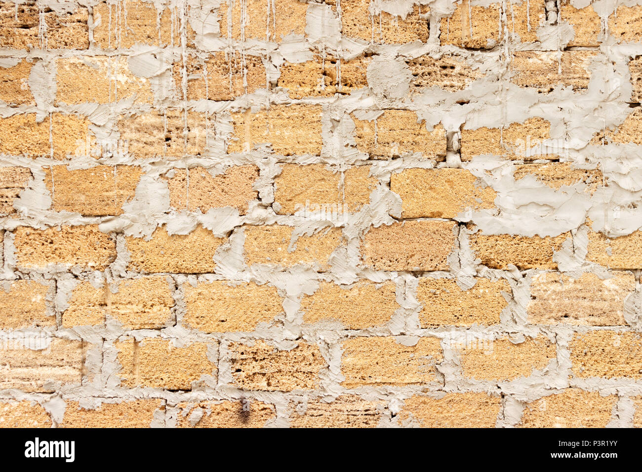 Des coquilles de briques Texture background , mur est en brique de coquillages Banque D'Images