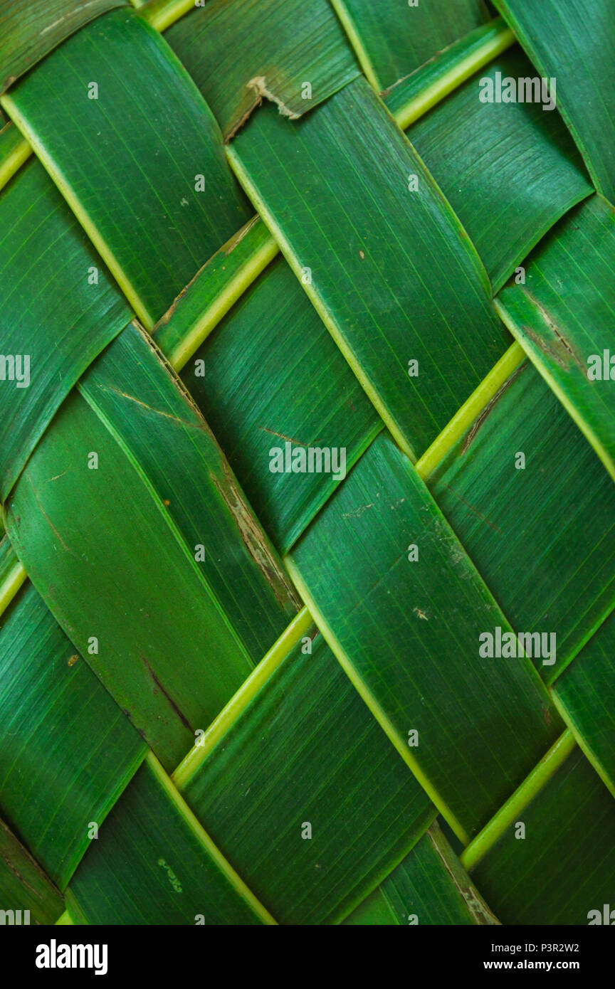 Le modèle de feuilles de cocotier weave Banque D'Images