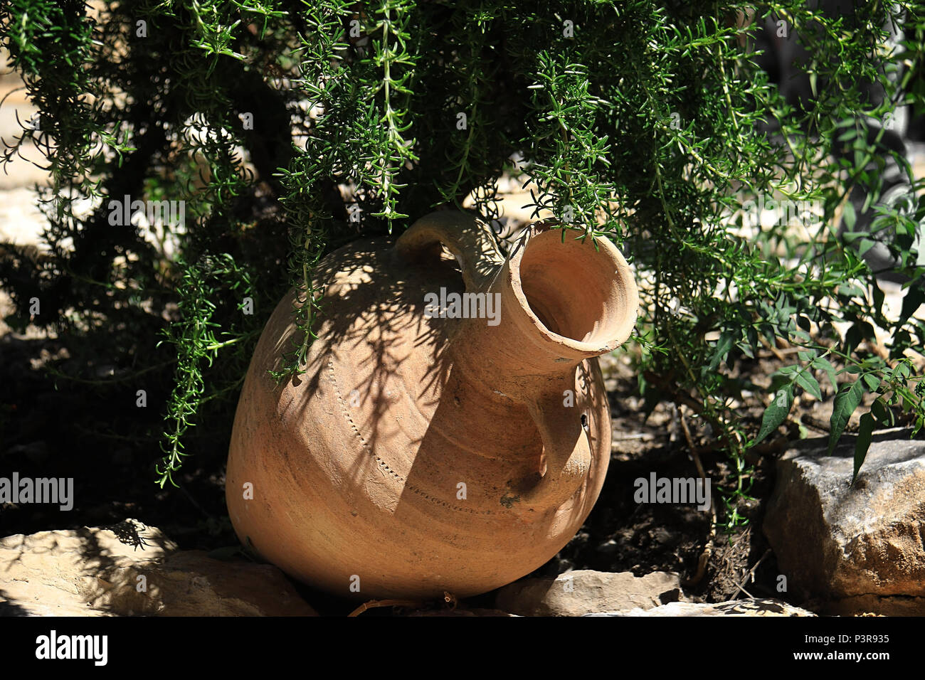 Un pot en argile dans un jardin traditionnelle Libanaise. Banque D'Images