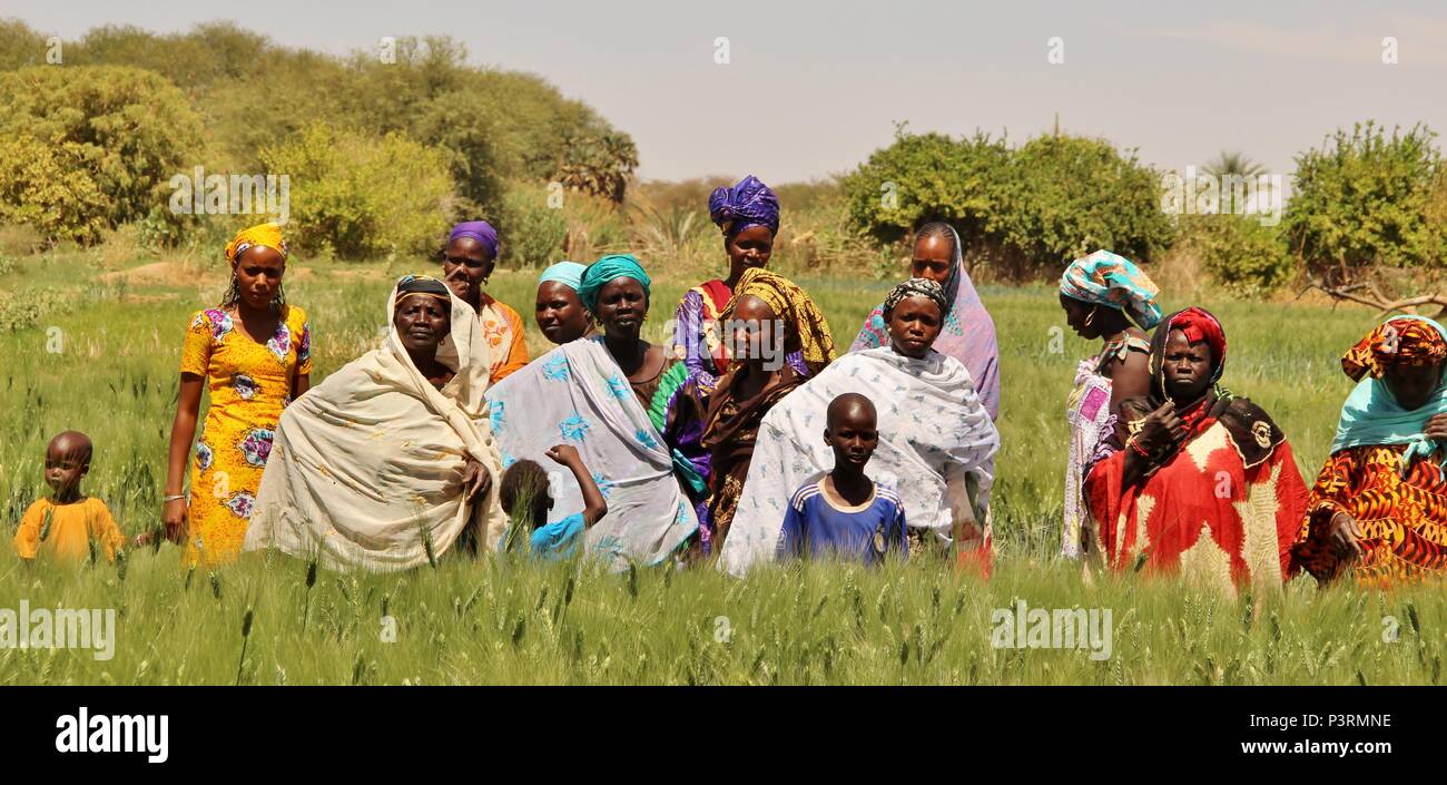Les agricultrices dans le nord du village sénégalais de Ndiayene Pendao Banque D'Images